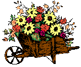 brouette-de-fleurs