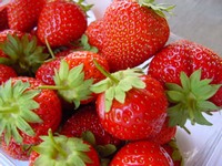 fraises