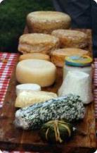 fromages-de-chevre-2