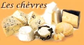 fromages-de-chevres-1