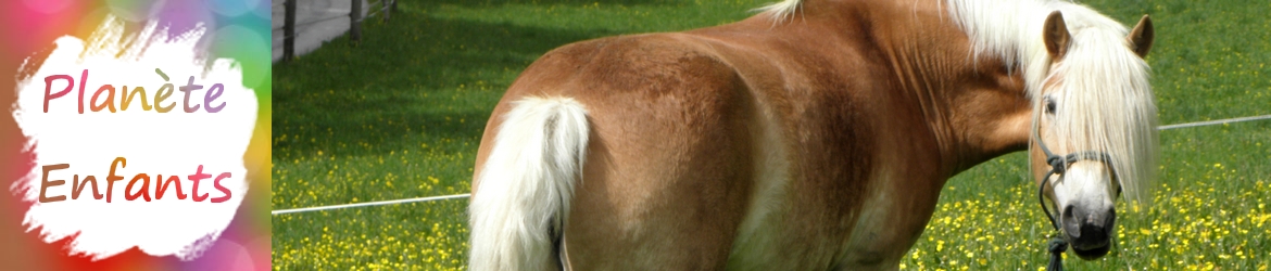 planete-enfants-banniere-cheval